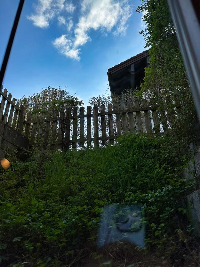 Haus Anna Appartement Fischen im Allgaeu Buitenkant foto